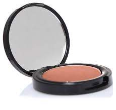 SMOOTH N'WEAR POWDER BLUSH - 07TERRE